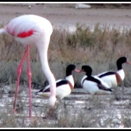 Villa Glapsides Sea Famagusta (Northern Cyprus)